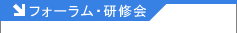�Z�~�i�[�E���C��